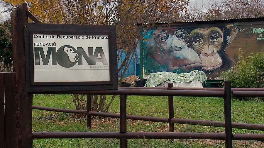 Fundación Mona