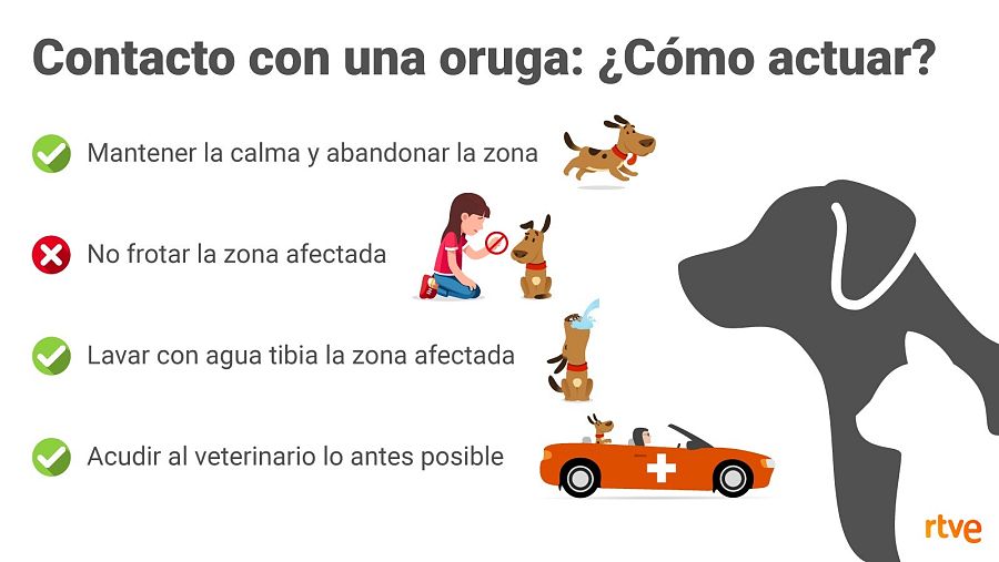 ¡No esperes, actúa!