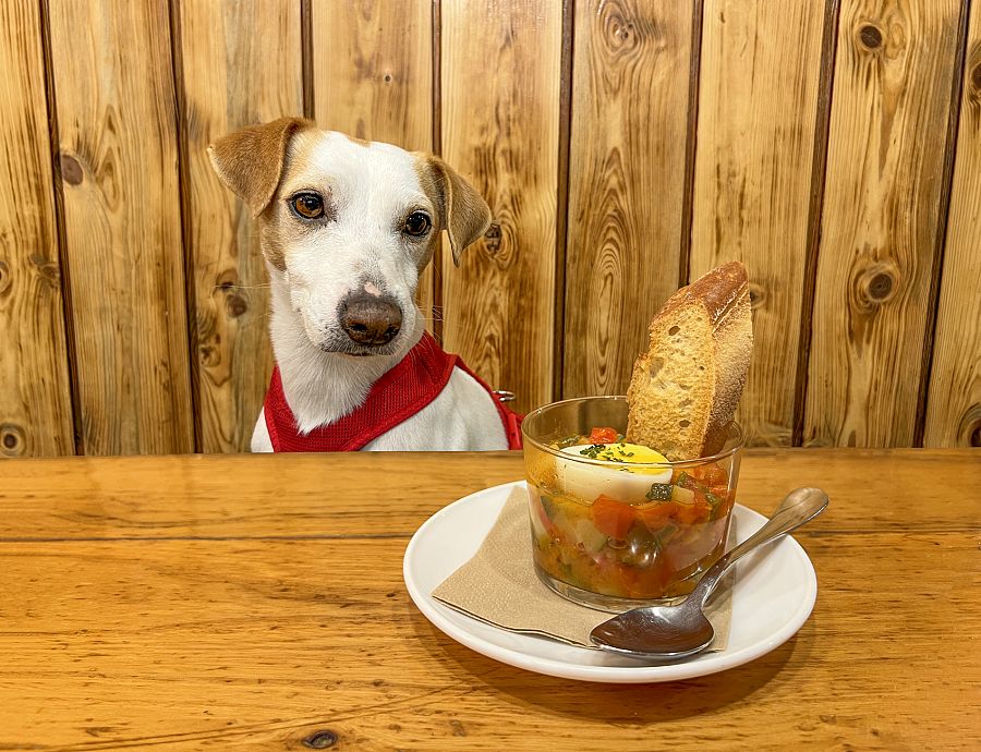 Pipper y su pintxo