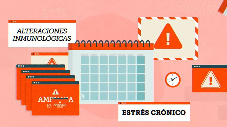 Motion explicativo sobre la inflamación crónica, con un calendario en el centro, un cartel de "estrés crónico", otro de "alteraciones inmunológicas" y señales de alarma alrededor.
