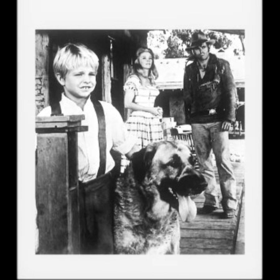 Buddy, la historia del hermano de Jodie Foster: su primer 'rival'