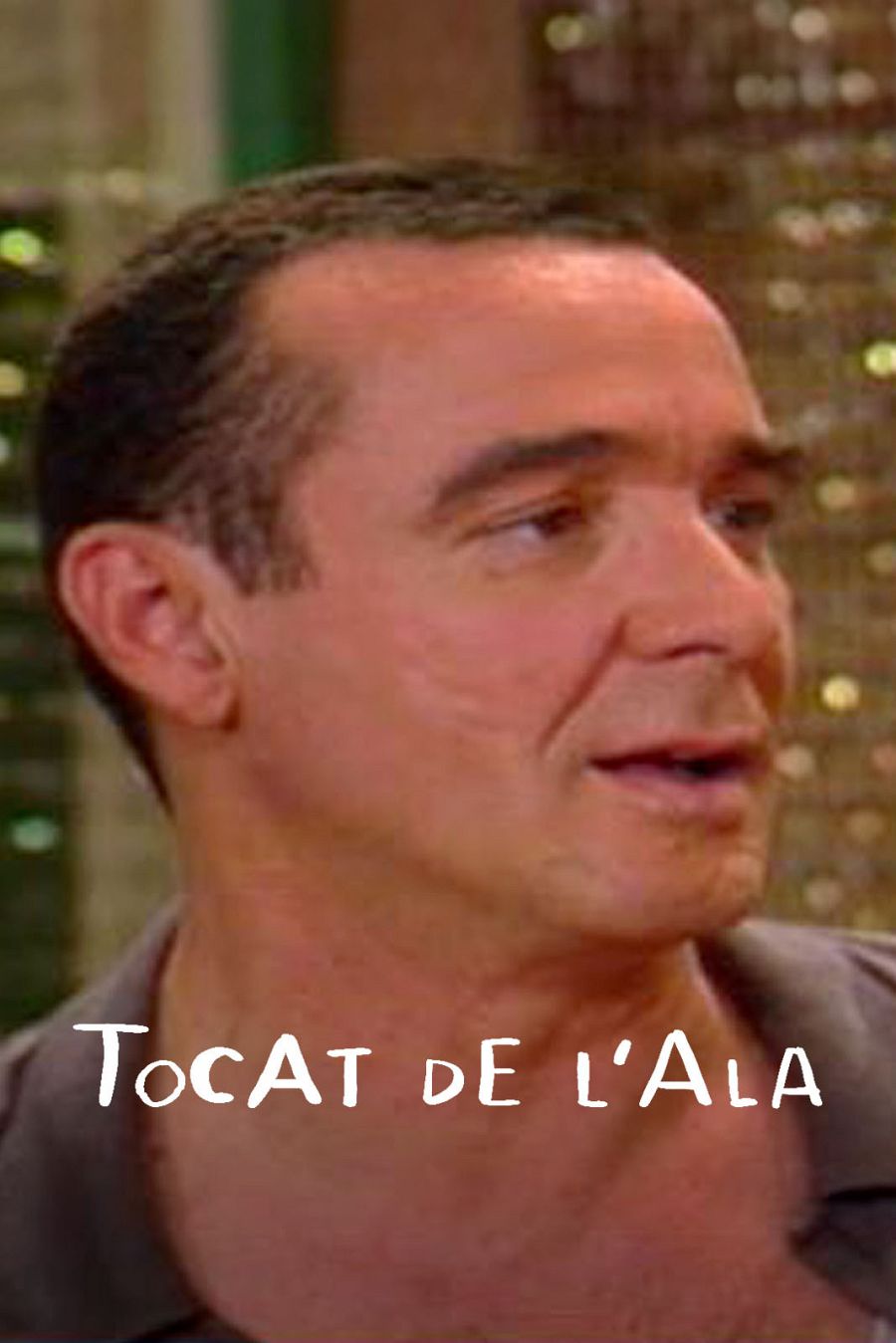 Tocat de l'ala