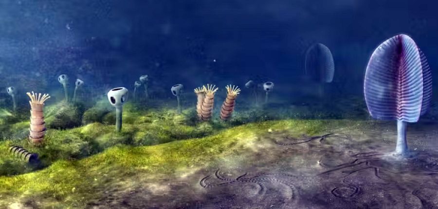 imagen QUE reconstruye el fondo marino del Cámbrico.