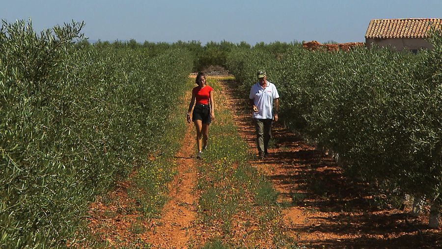 Ángel Bellón, agricultor y presidente CUAS Mancha Occidental