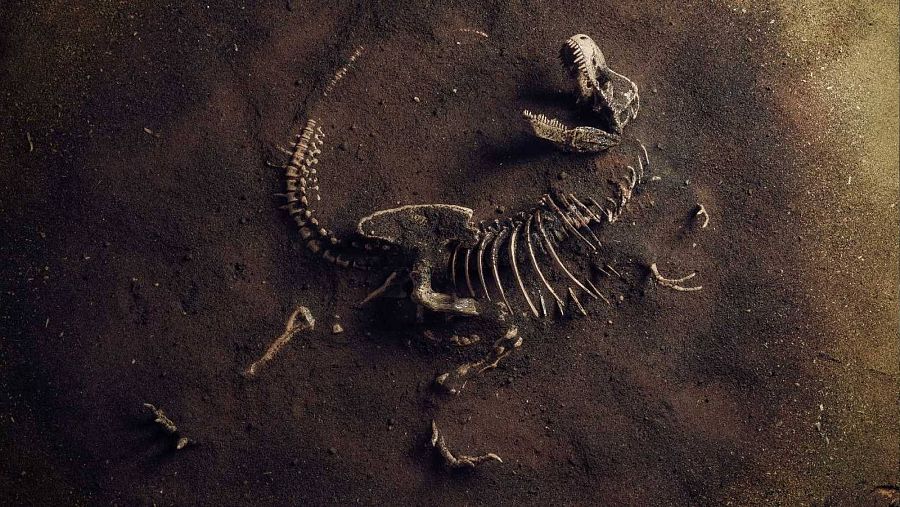 El Garumbatitan morellensis mediría unos 25 metros de longitud y 11 de altura