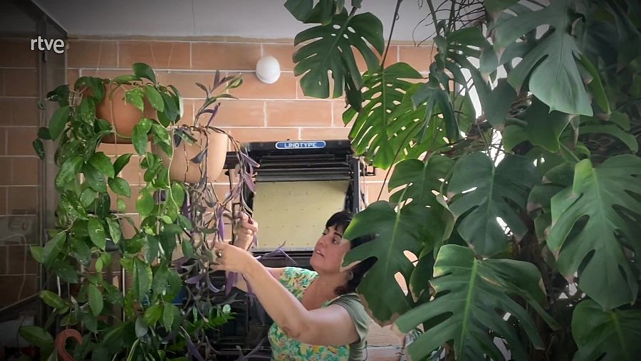 Mireia Lacort, jardinera i cangur de plantes