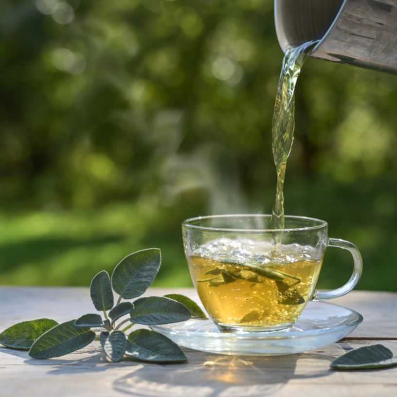 Café Zimmermann - Té - 13/06/24 Café Zimmermann - Té - 13/06/24