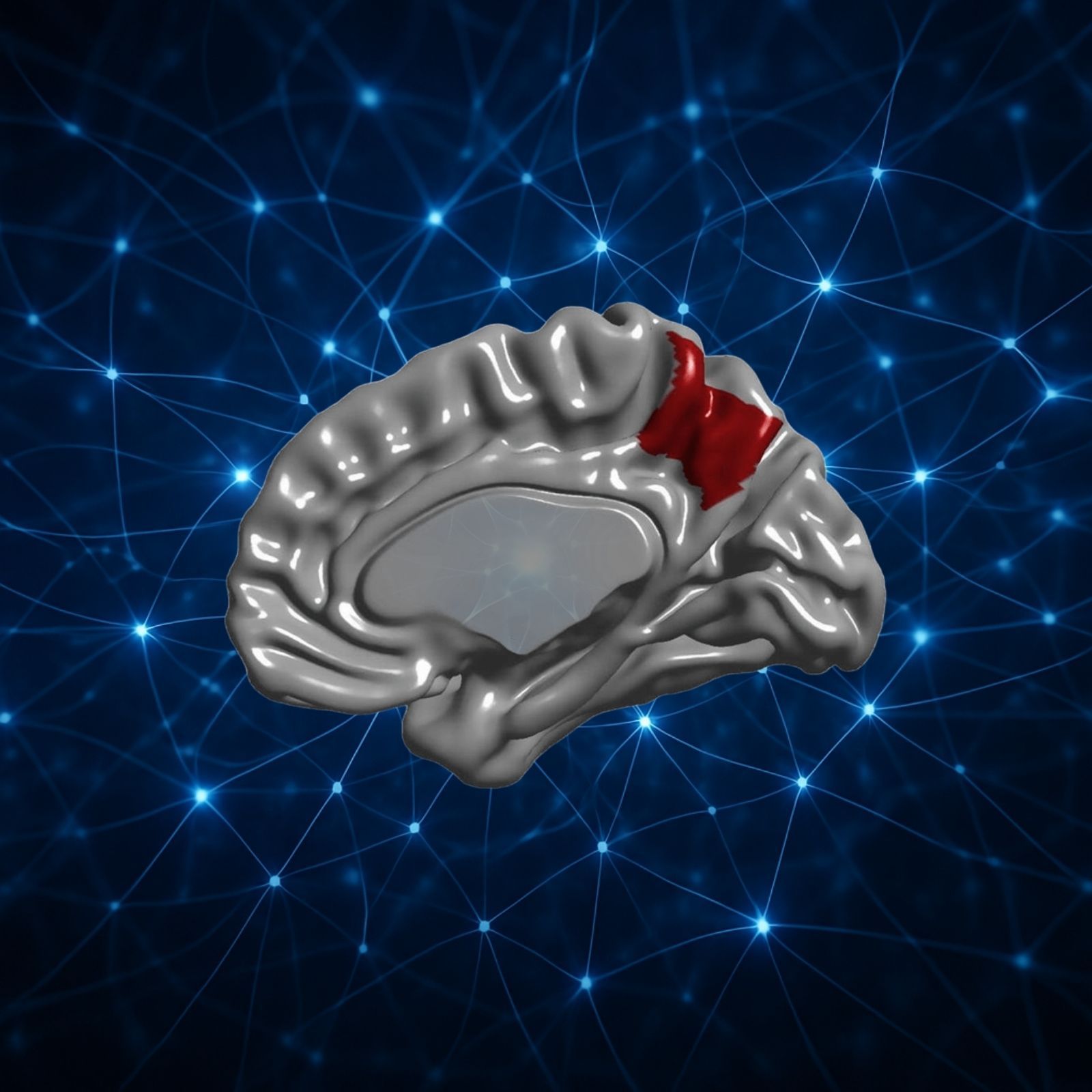 Fallo de sistema – 831: El precúneo, rincón secreto de nuestra conciencia – 11/01/26