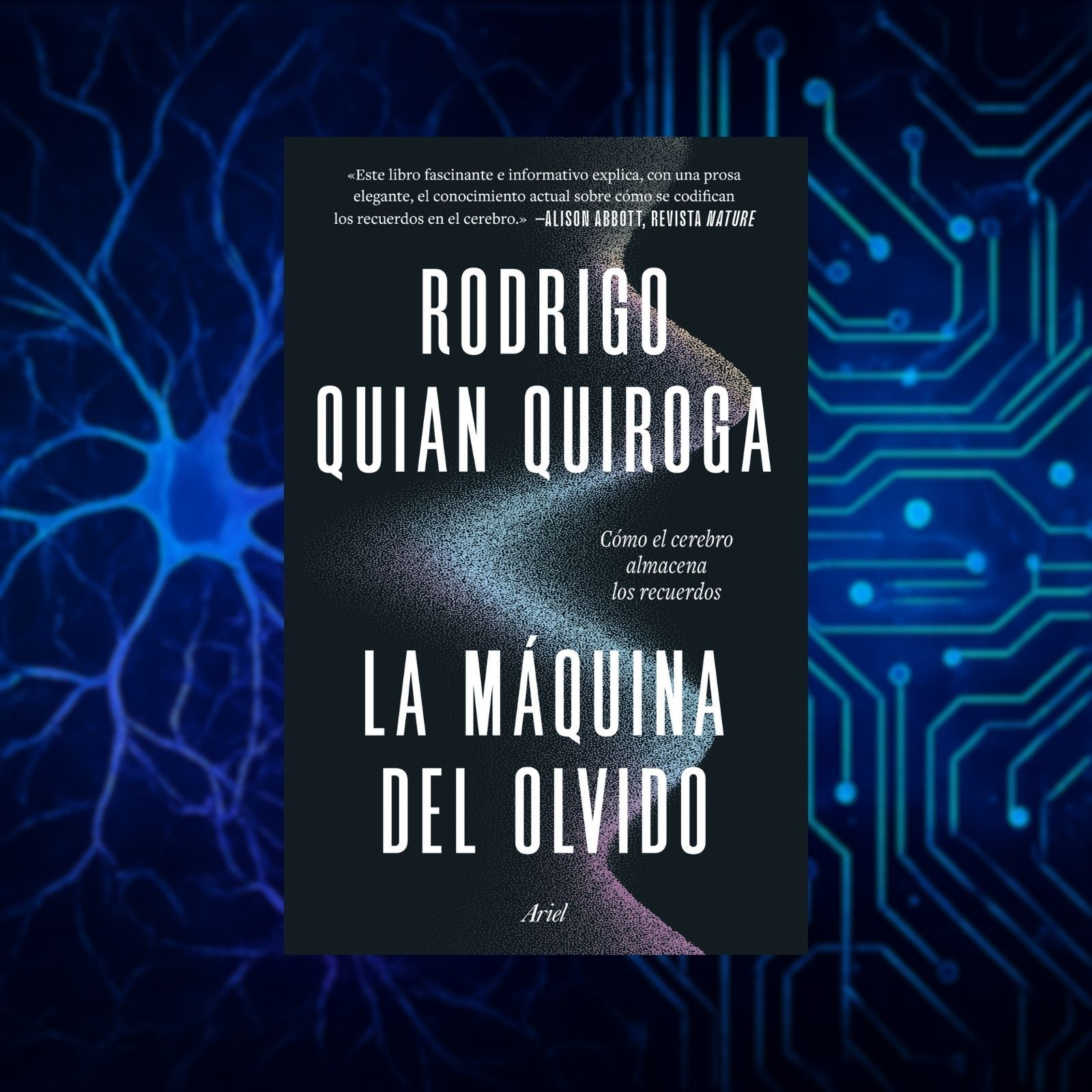 Fallo de sistema - 837: Nuestro cerebro, una "máquina del olvido" - 01/02/26