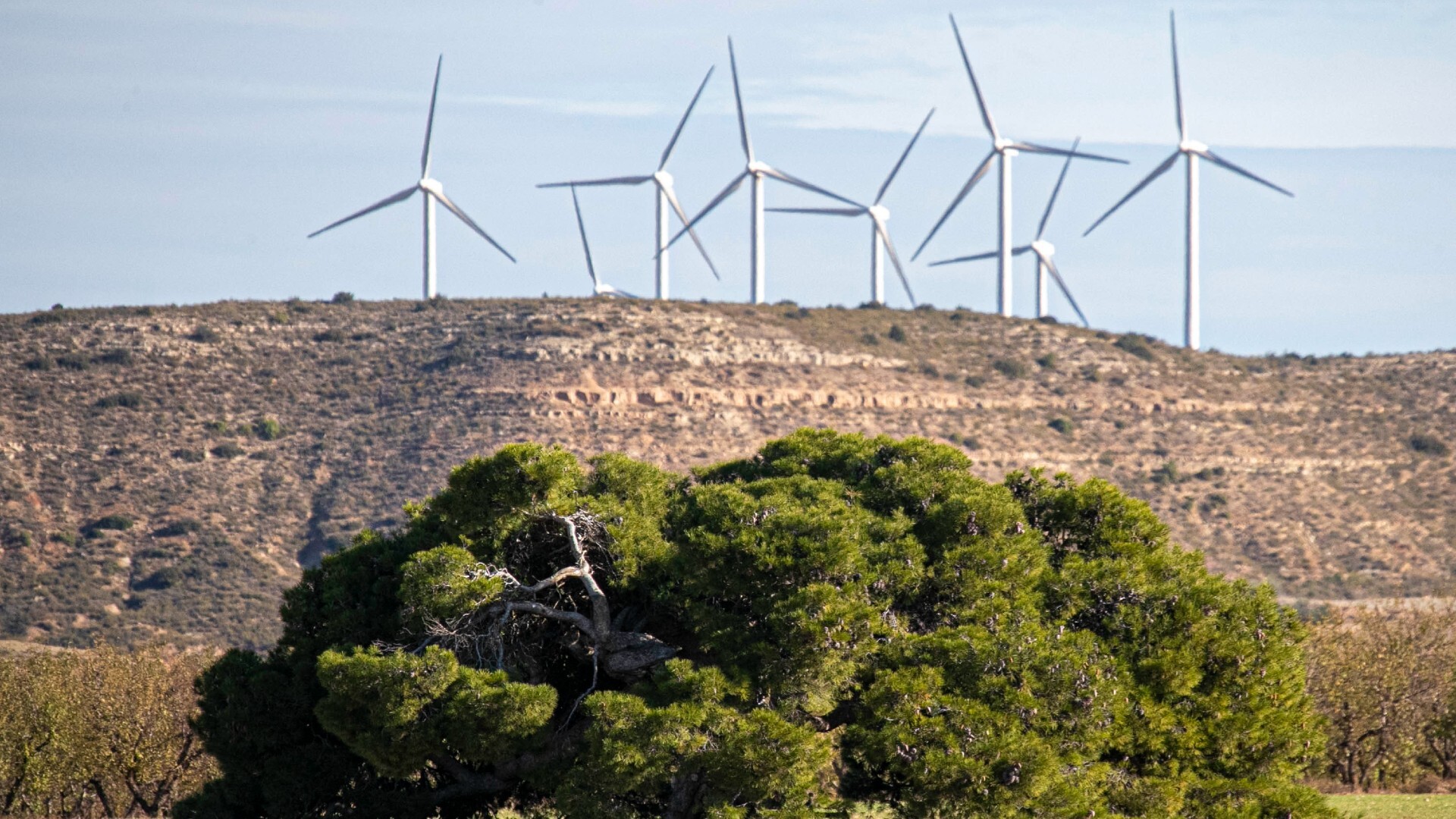 www.rtve.es
