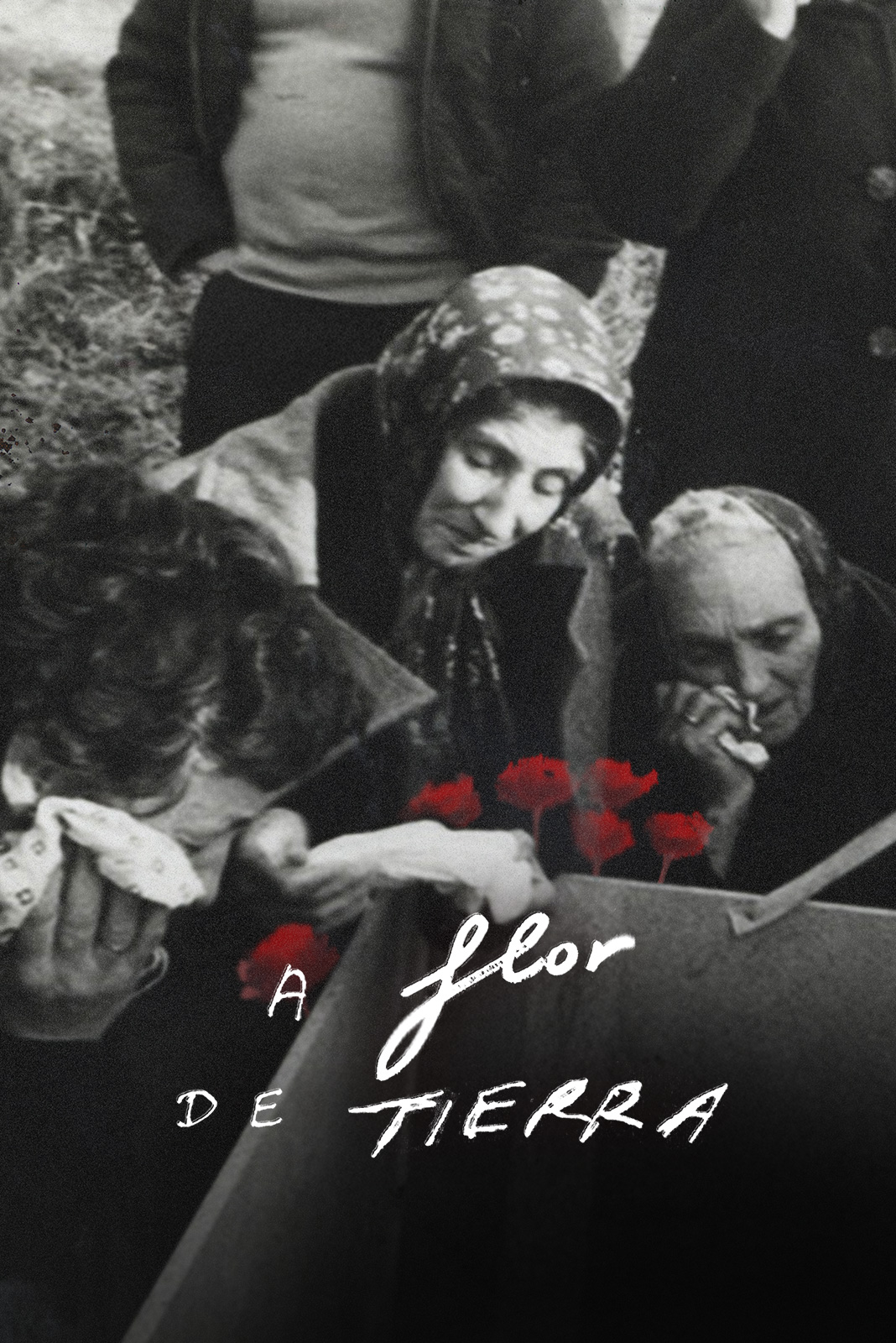 A flor de tierra