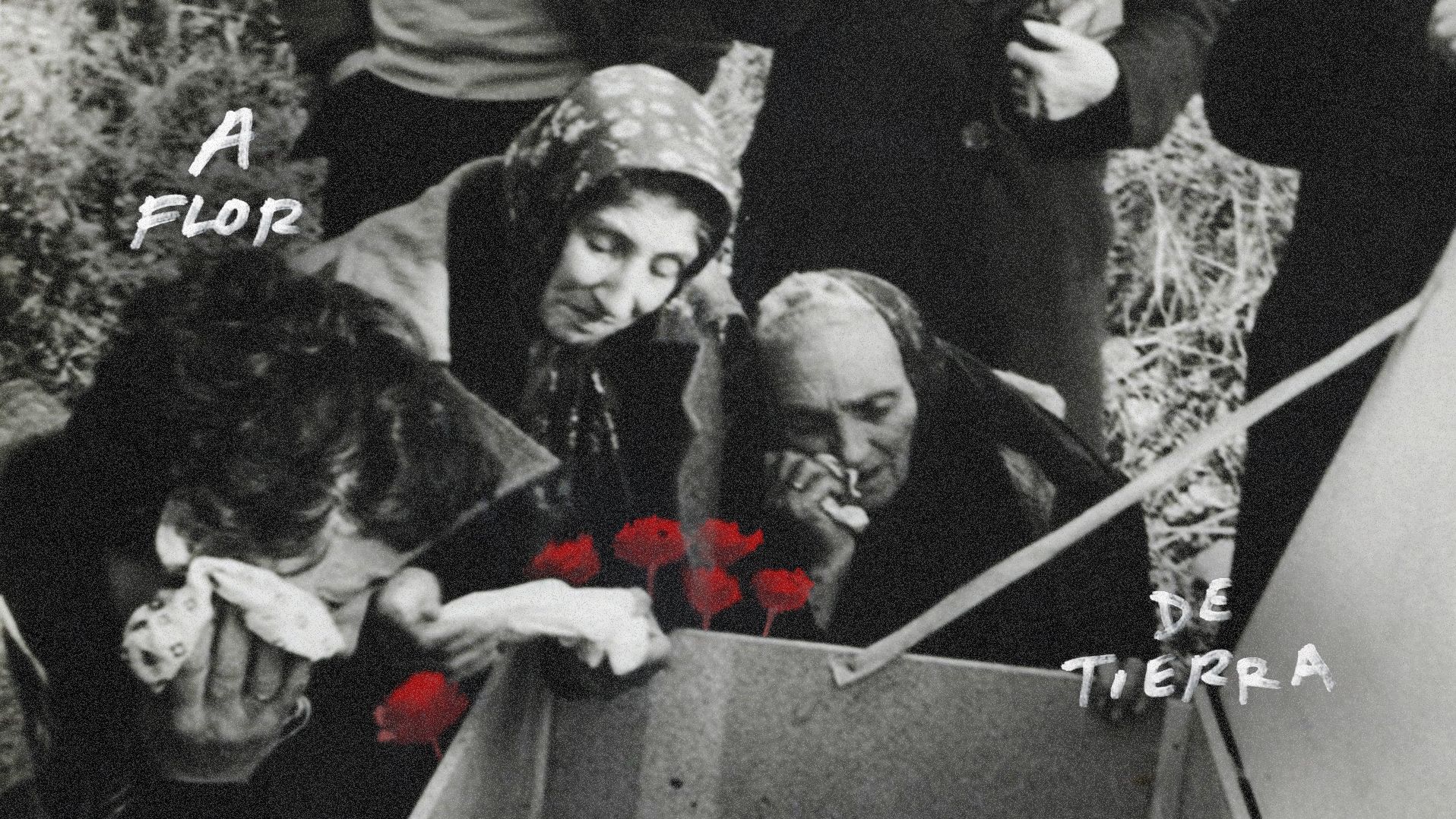 'A flor de tierra', un documental sobre las exhumaciones tempranas y el dolor de las víctimas del franquismo