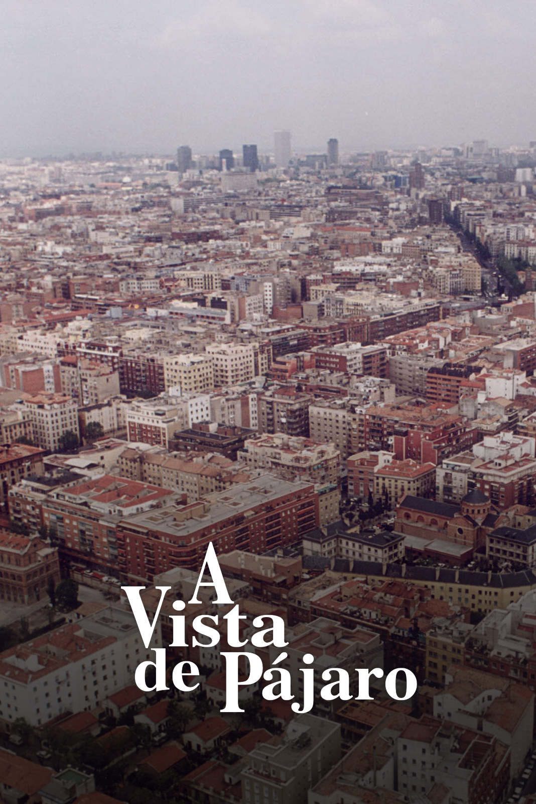 A vista de pájaro