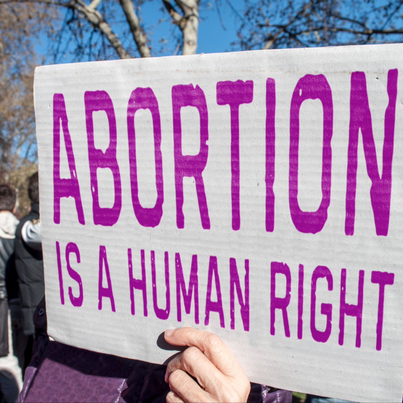 Tolerancia cero - Aborto en la Constitución - 11/04/26