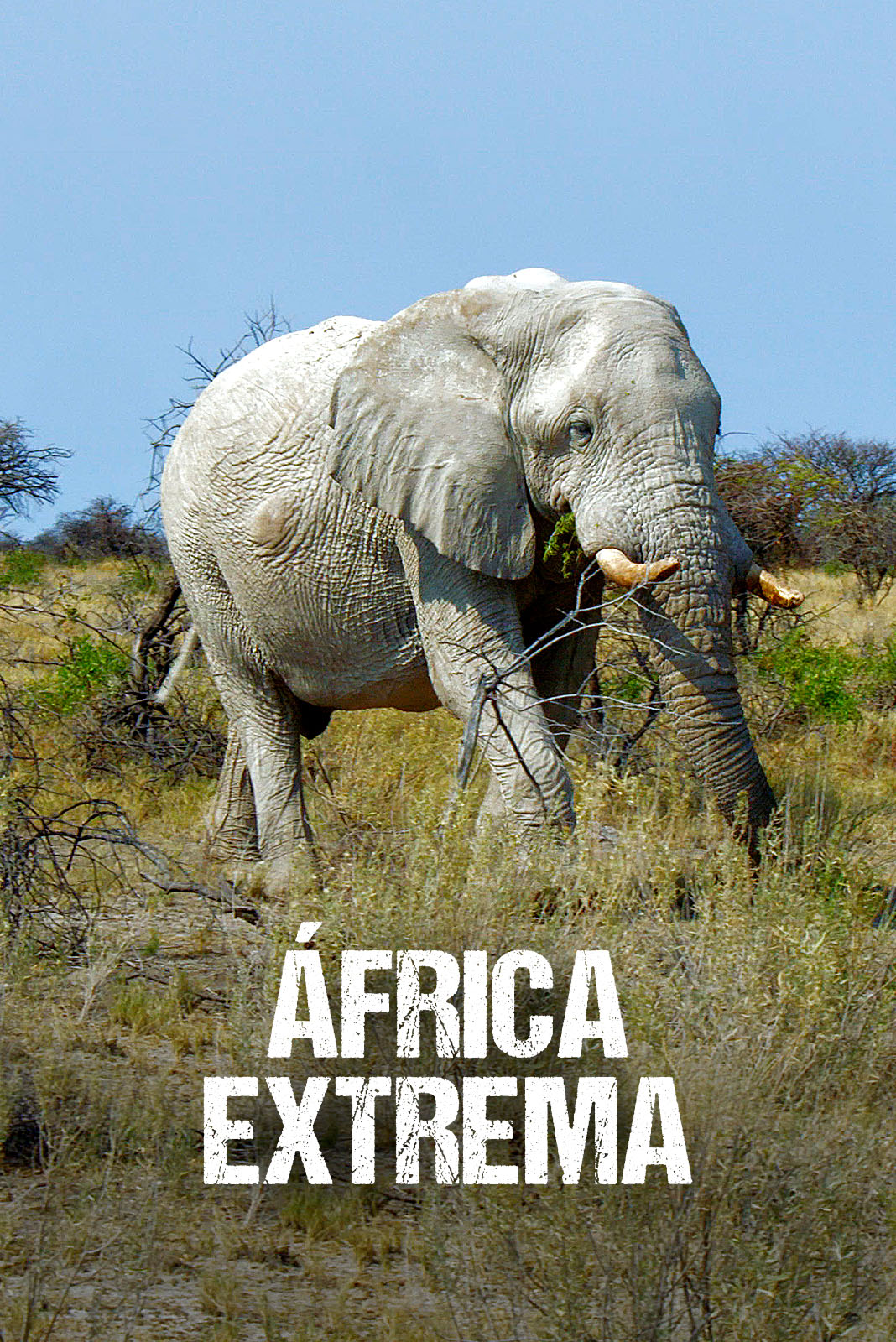 África extrema