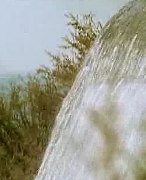 Agua, la gota de la vida