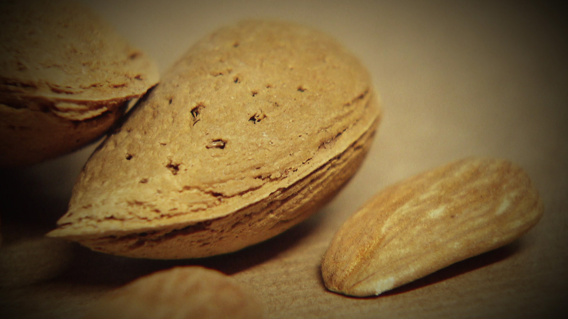 La almendra ecológica es la base de la economía del altiplano La almendra ecológica es la base de la economía del altiplano