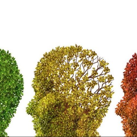 Sapiens - El alzhéimer, con Juan Fortea - 01/12/25 Sapiens - El alzhéimer, con Juan Fortea - 01/12/25