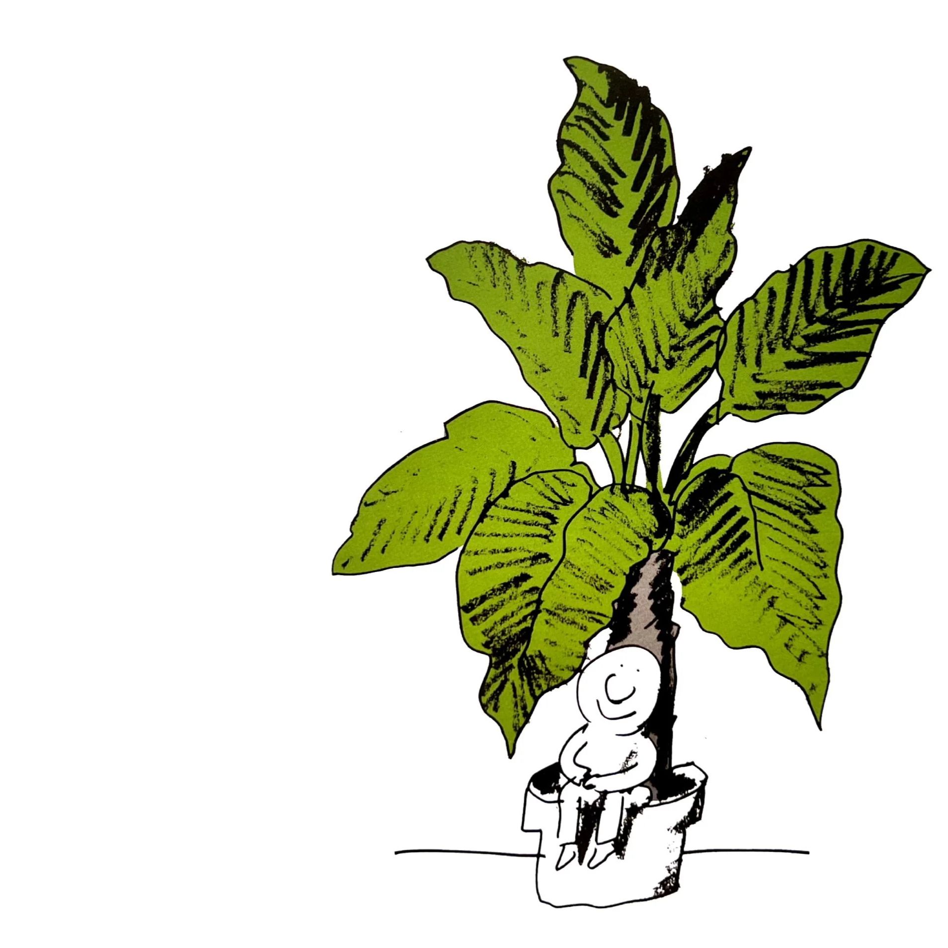 Amordiscos - En el jardín