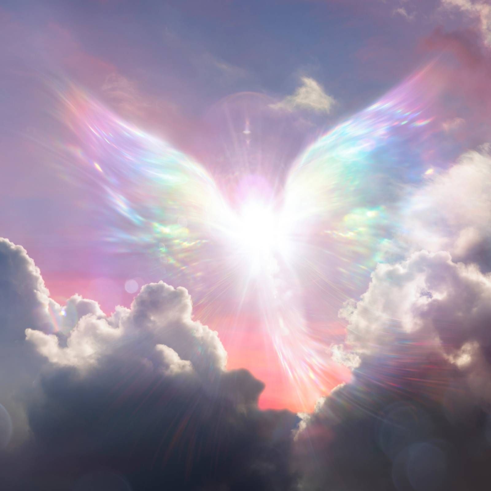 Espacio en blanco - Ángeles salvavidas - 15/02/26