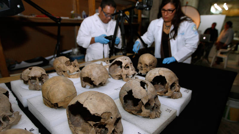 Antropólogos mexicanos estudian un conjunto de cráneos hallados en Ciudad de México