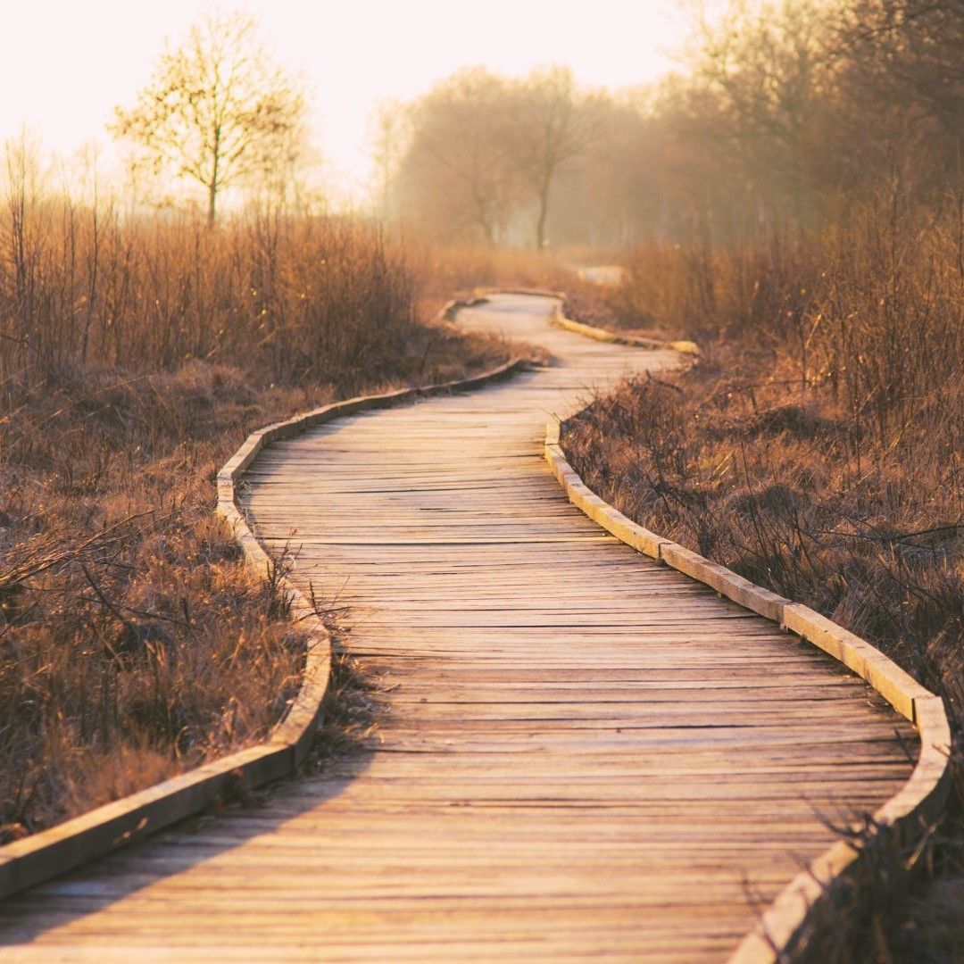 América mágica - Apartar la piedra del camino - 10/08/24