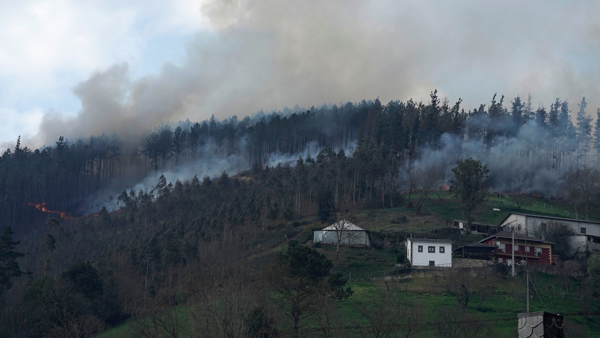 Asturias duplicará la distancia entre pueblos y bosques por los incendios