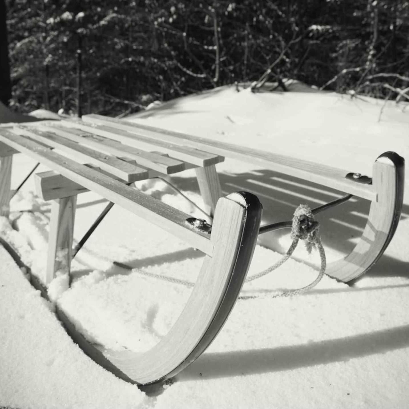 El árbol de la música