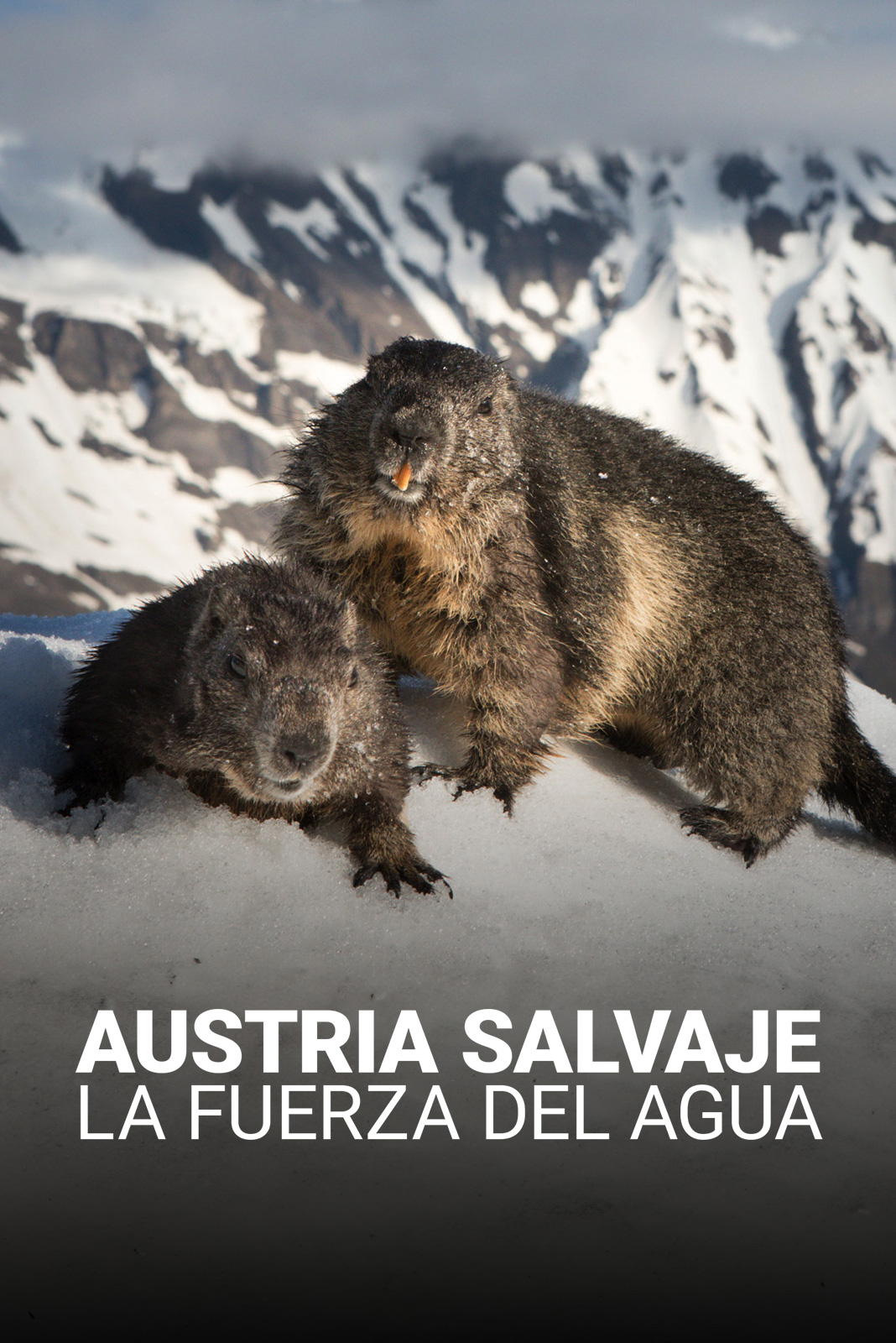 Austria salvaje. La fuerza del agua
