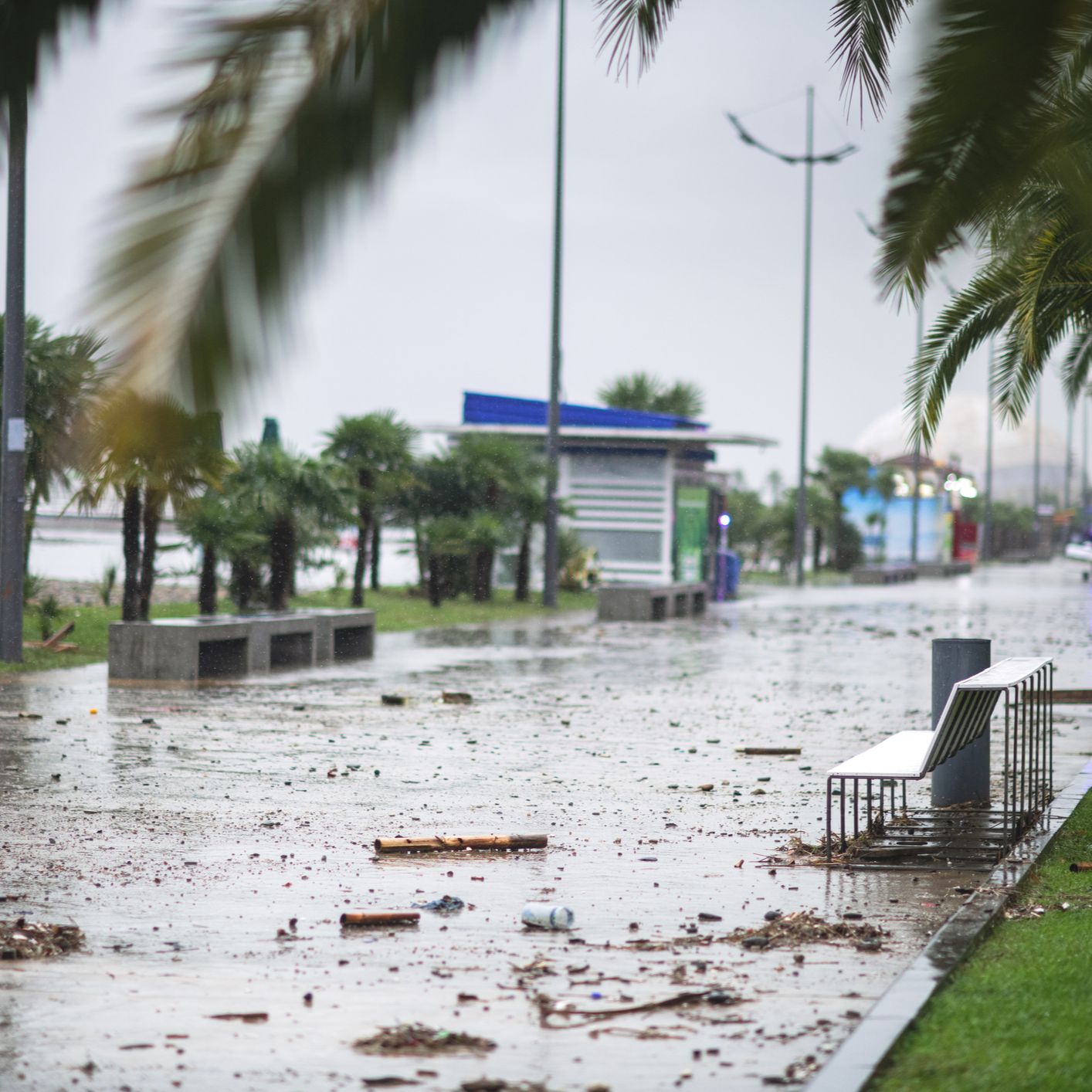 Mundo rural - Ayudas a las zonas afectadas por los temporales - 20/02/26
