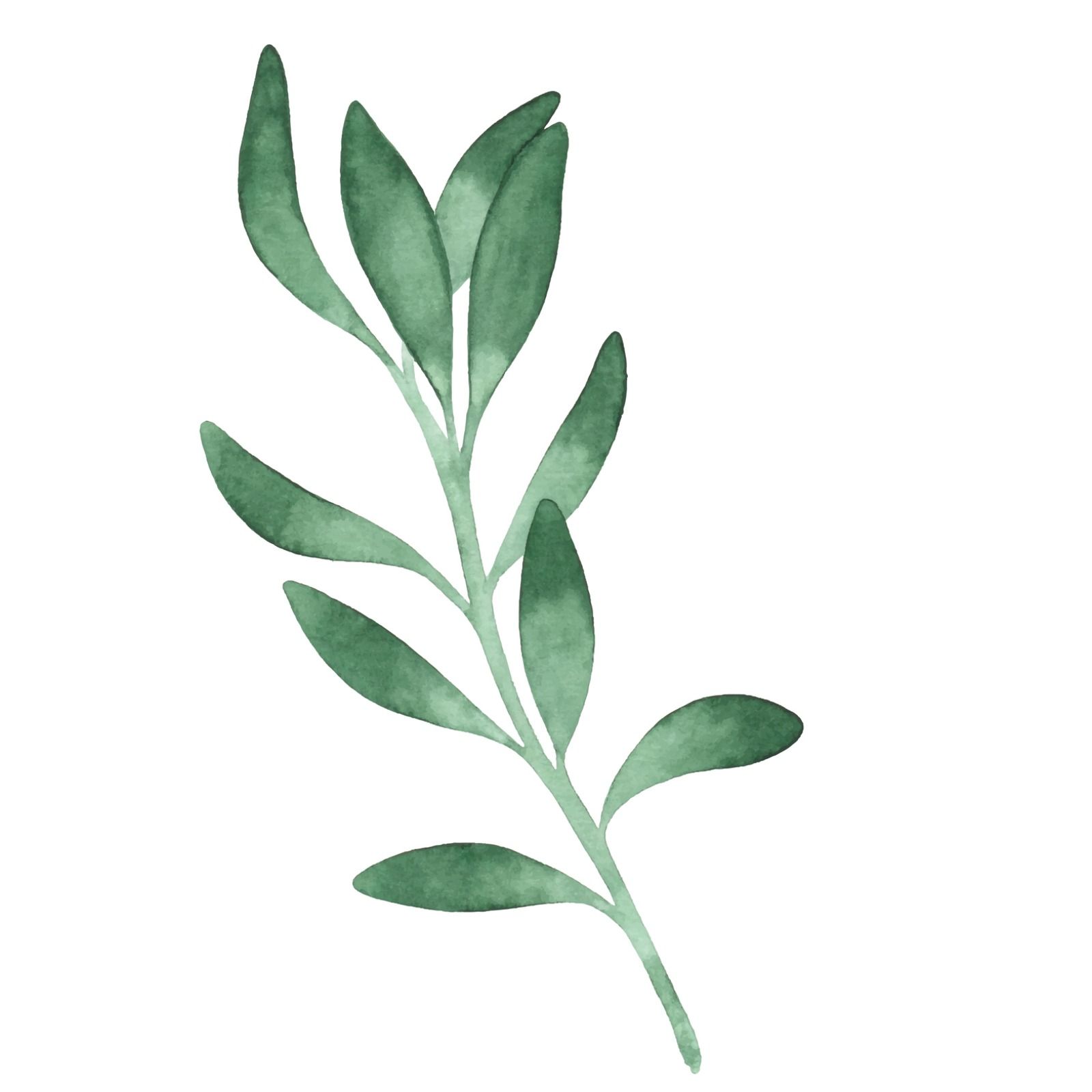 Tras la tormenta | Básicos de Semana Santa