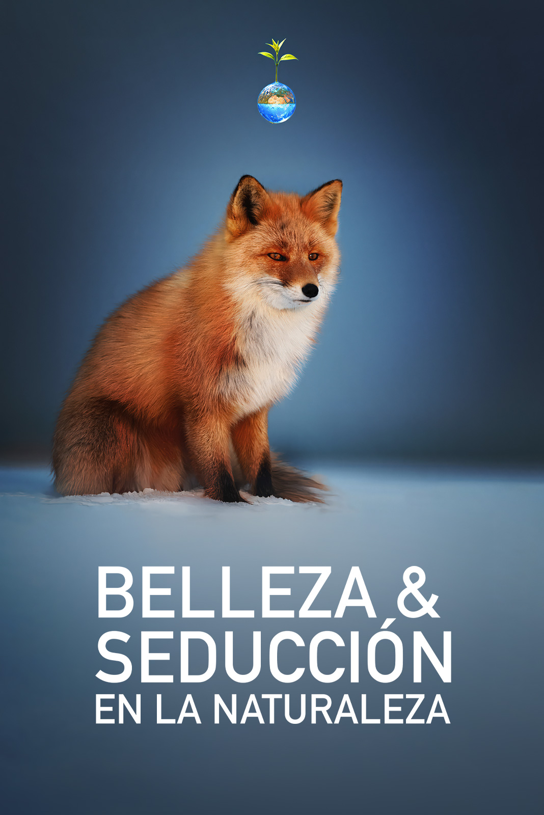 Belleza y seducción en la naturaleza