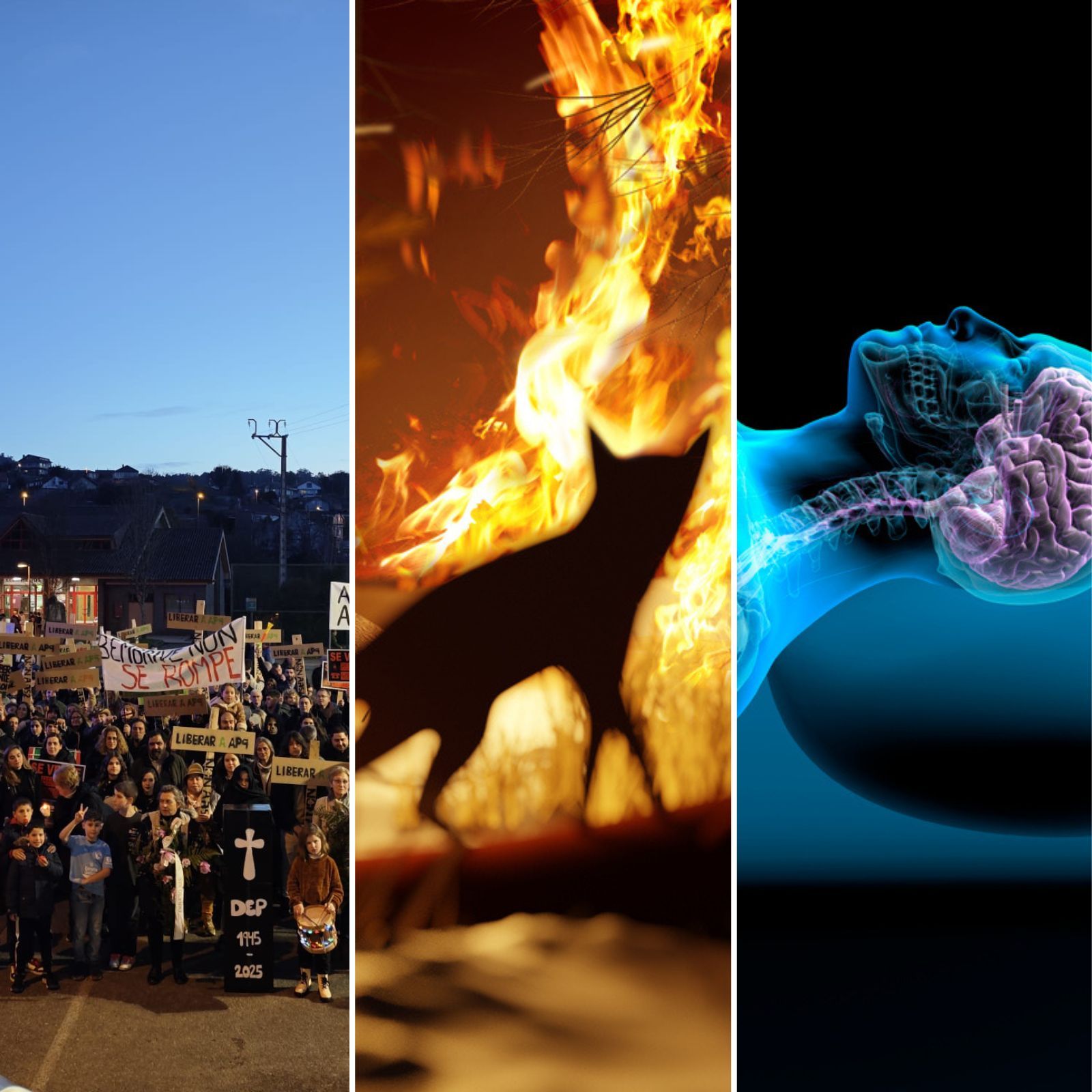 Las mañanas de RNE - Emma Hernández - Bembrive en Pé, fauna en los incendios y sueño metabólico - 28/08/25