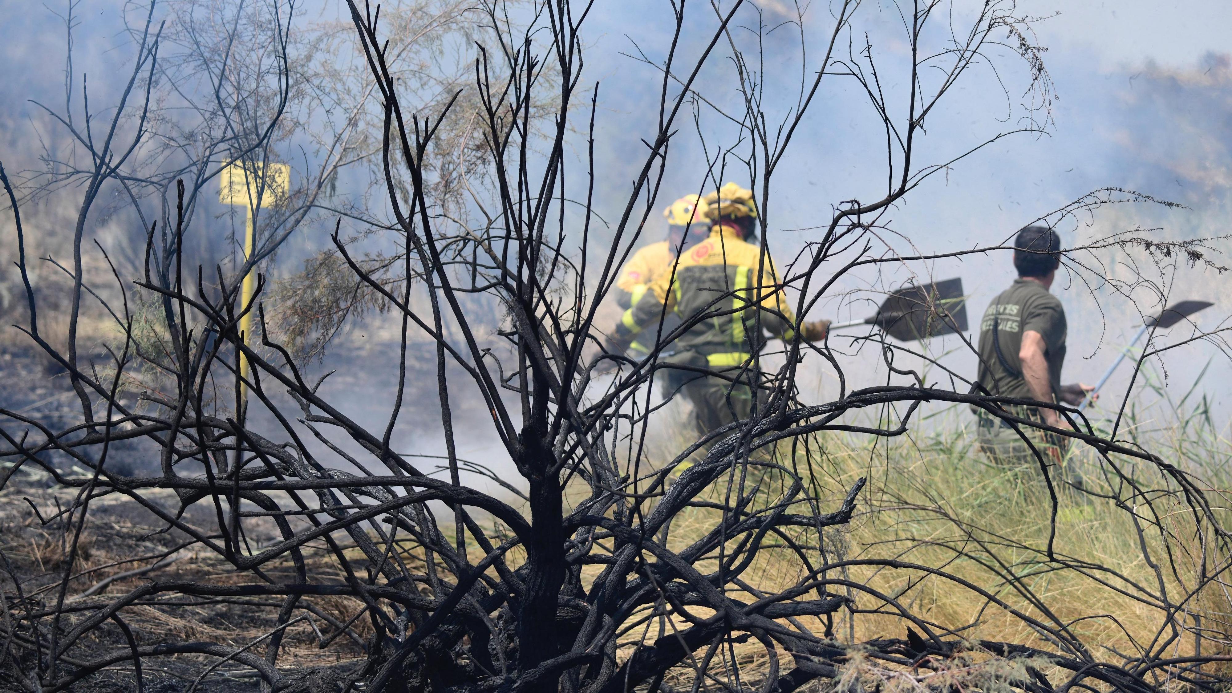 Los brigadistas forestales de Madrid retoman la huelga