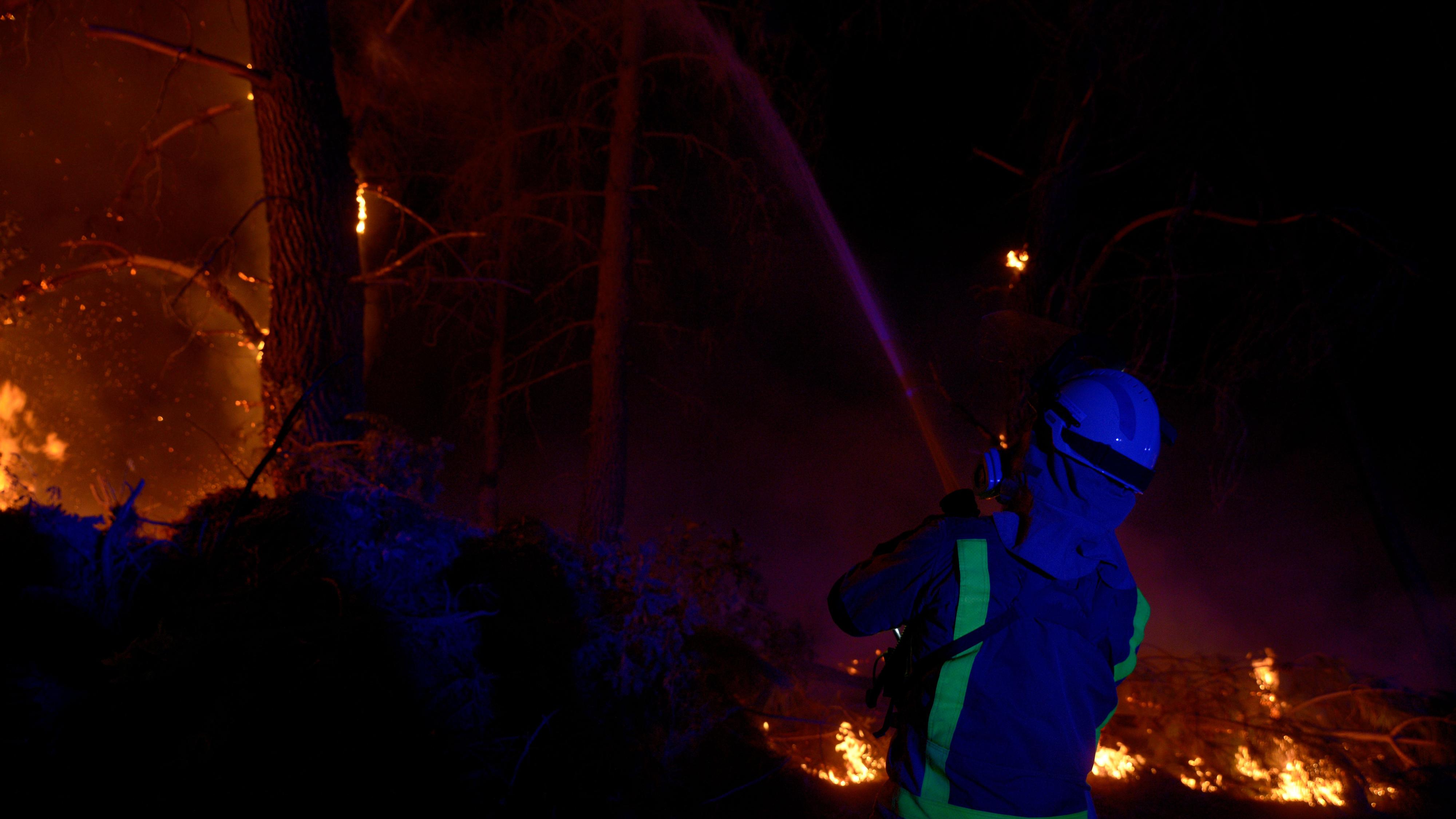 Bomberos forestales de Galicia tratan de extinguir el fuego a 14 de agosto de 2025, en Monterrei, Ourense.