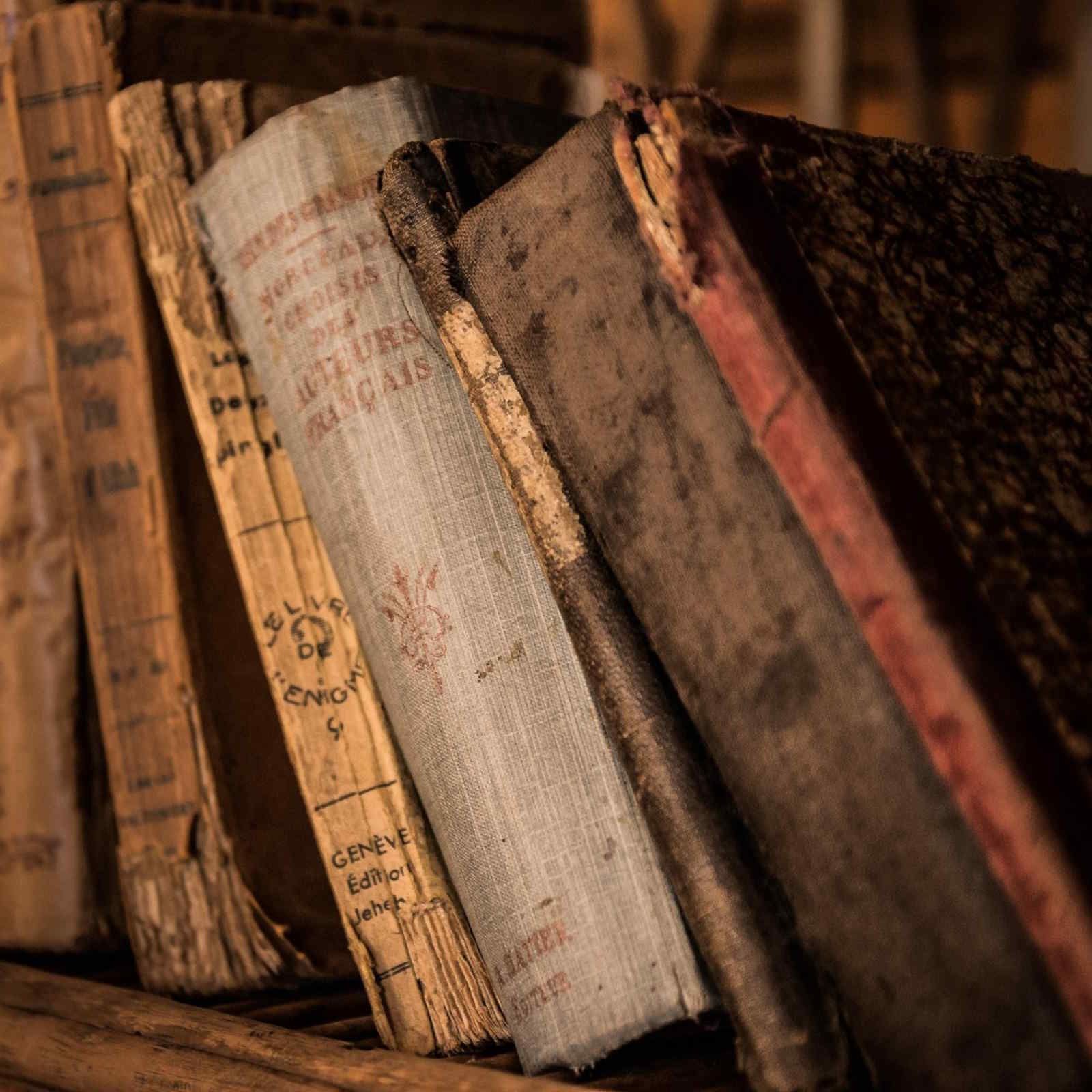 Grandes ciclos - Cadencia final (IV) - 29/12/25