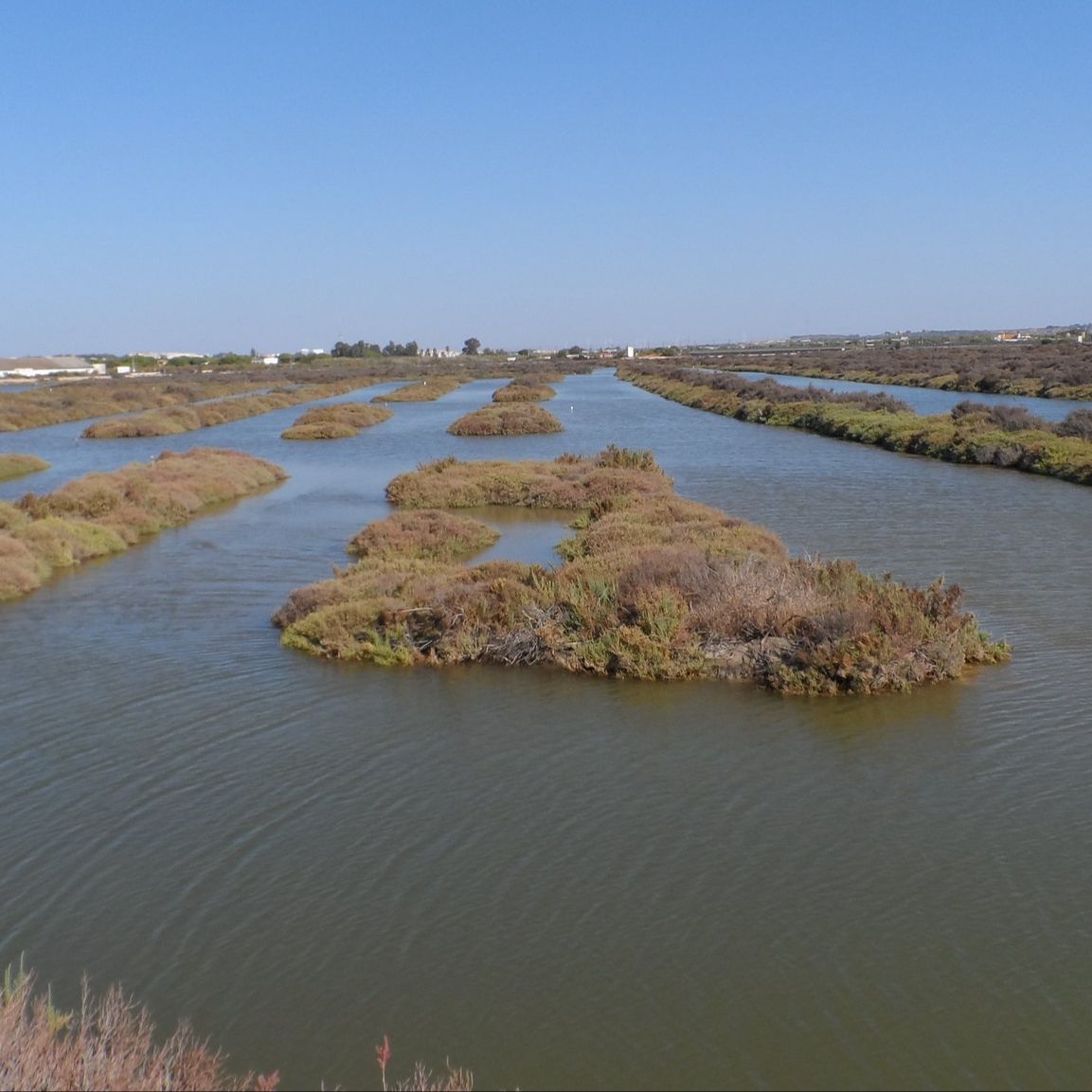 Cádiz - Esteros en el restaurante "A poniente" - 27/03/26