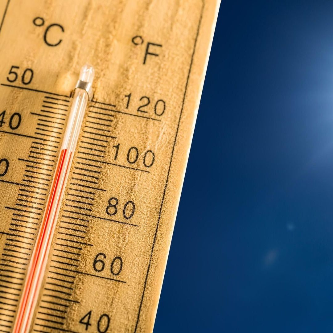 La calor dispara la toxicitat de l'aigua a municipis de Lleida episode artwork