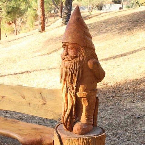 Caminantes - Senda mágica de Casla - 23/11/24 Caminantes - Senda mágica de Casla - 23/11/24