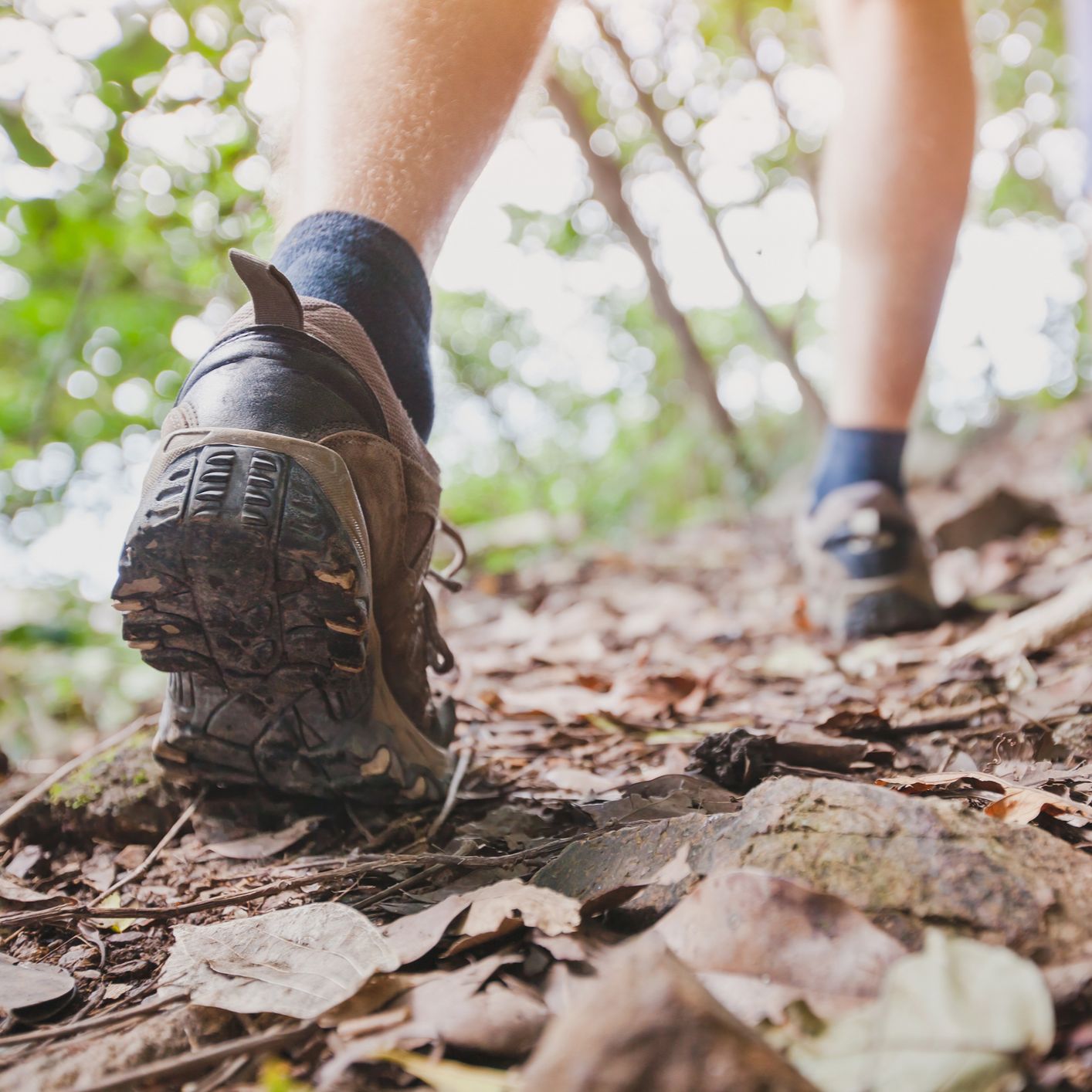 Caminantes - Vía Verde de Arditurri - 20/11/24 Caminantes - Vía Verde de Arditurri - 20/11/24