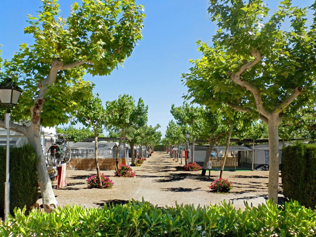 Camping Clará de Tarragona