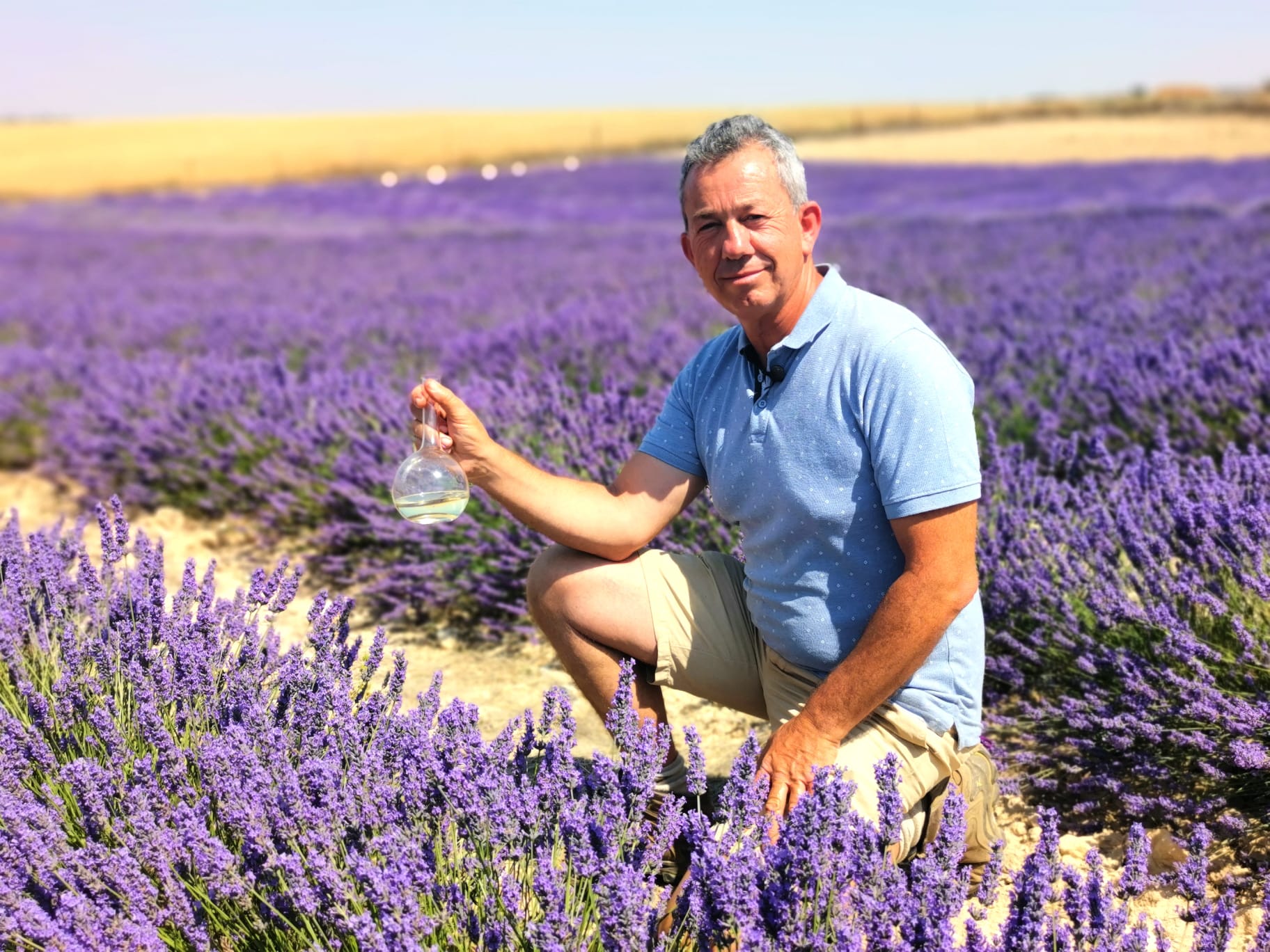 Campos de lavanda de Tiedra Campos de lavanda de Tiedra