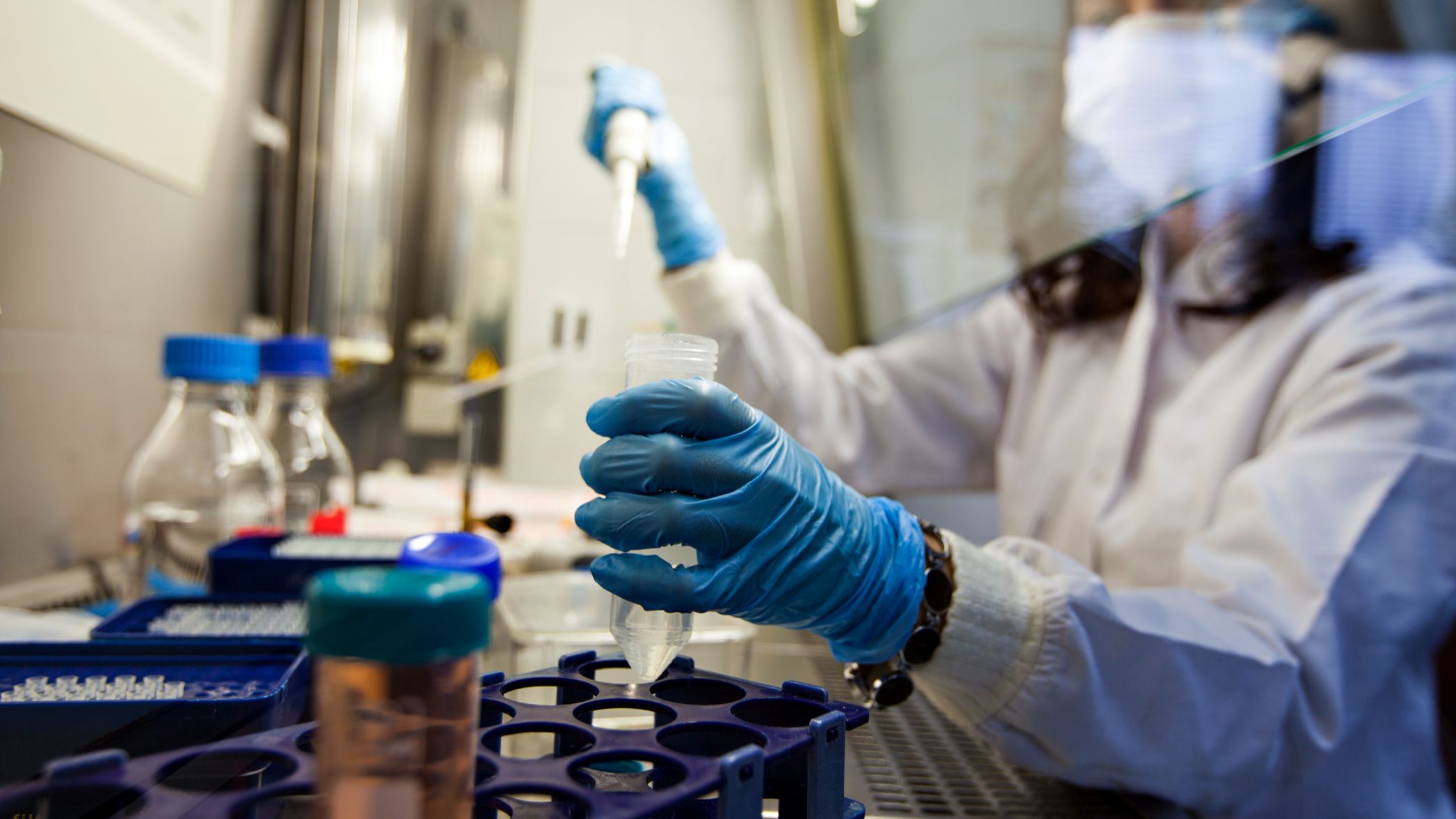 El cáncer hereditario, desde el laboratorio del CNIO: la ayuda a futuros pacientes a través del "árbol genealógico"