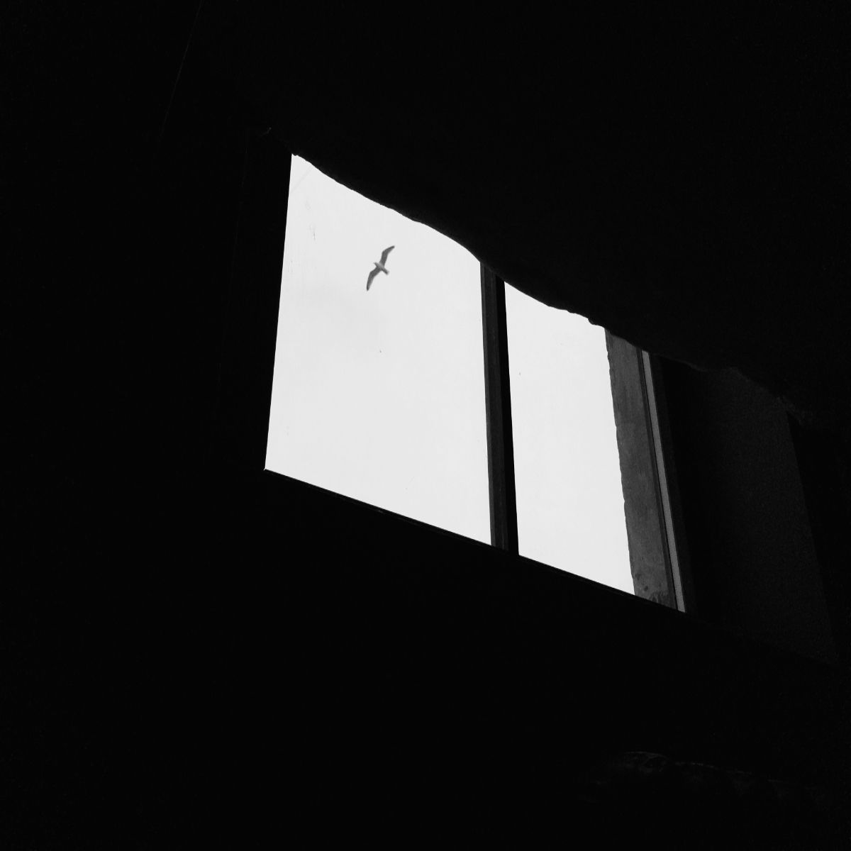 A lo loco y con patines - Canciones invisibles - 23/06/26 episode artwork