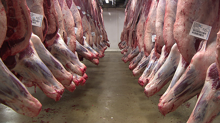 Carne de ternera en las cámaras frigoríficas de Mercabarna Carne de ternera en las cámaras frigoríficas de Mercabarna