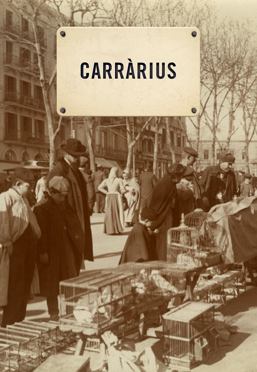 Carràrius