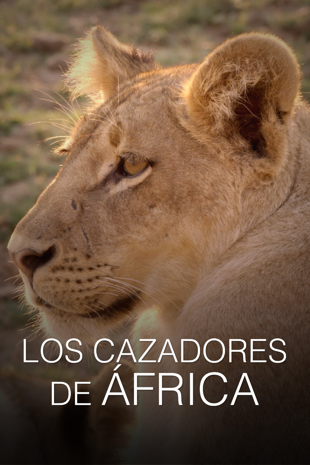 Cazadores de África