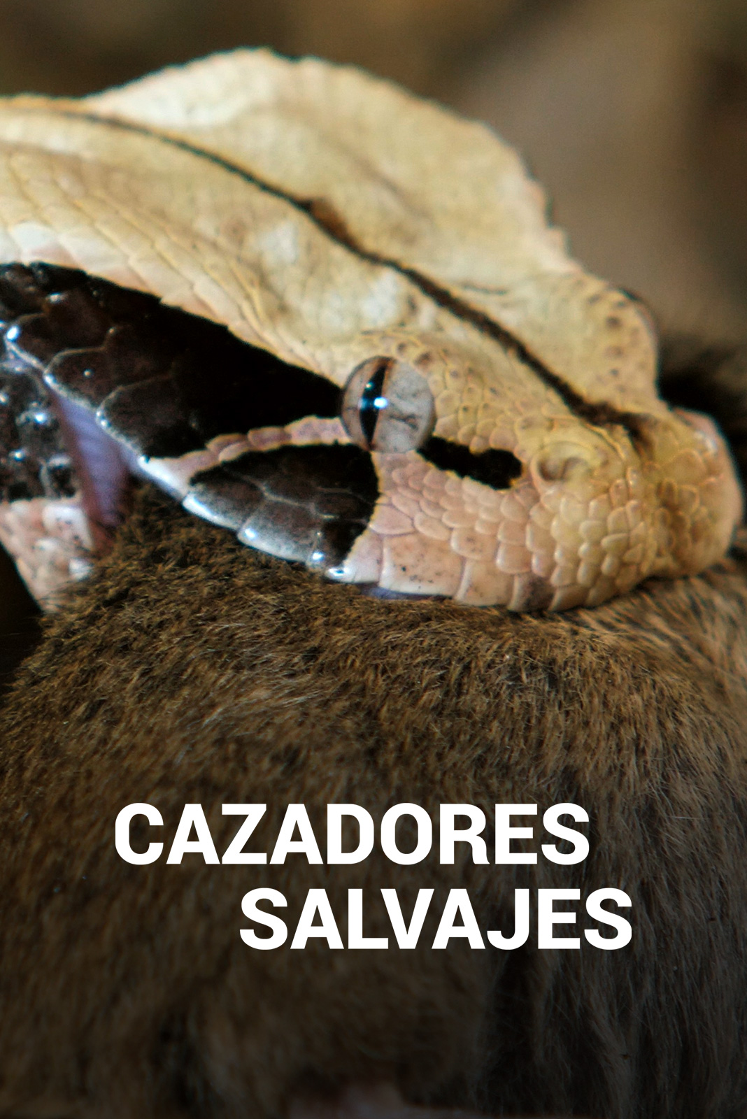 Cazadores salvajes
