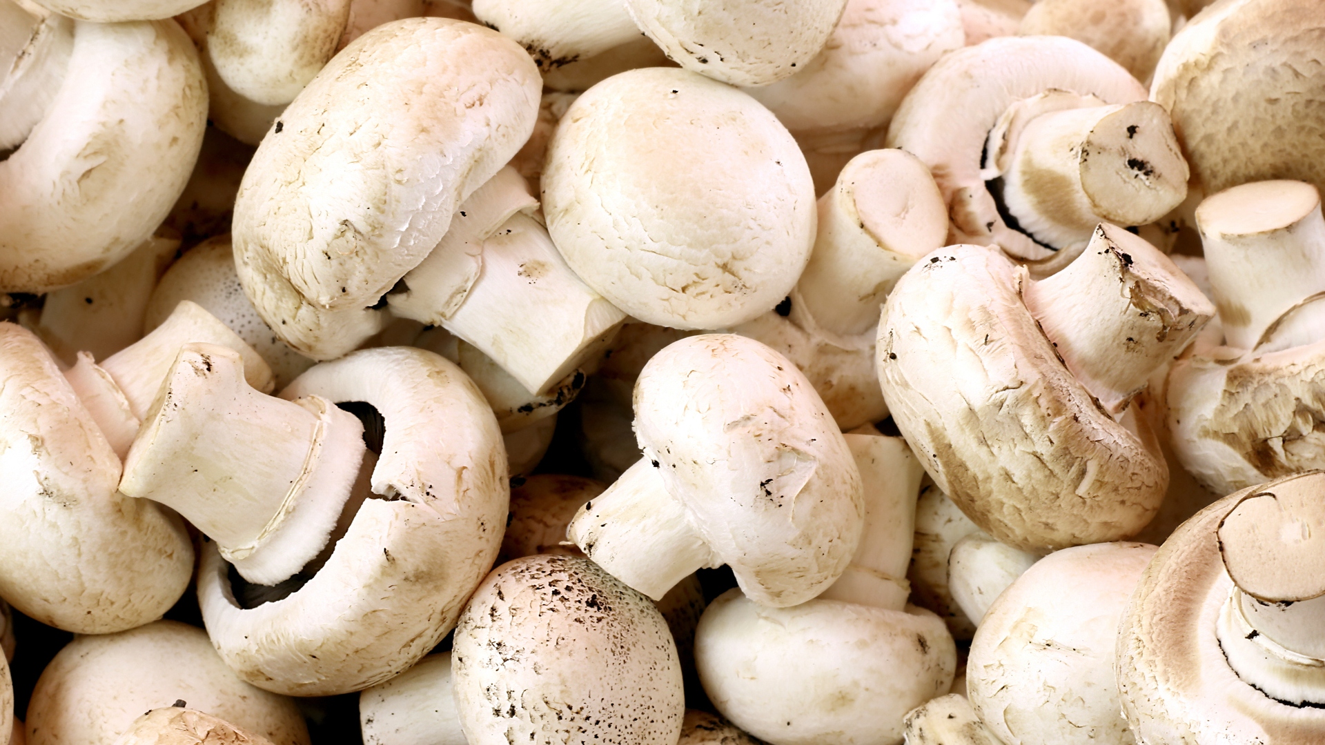 Champiñones: curiosidades y trucos para que queden perfectos