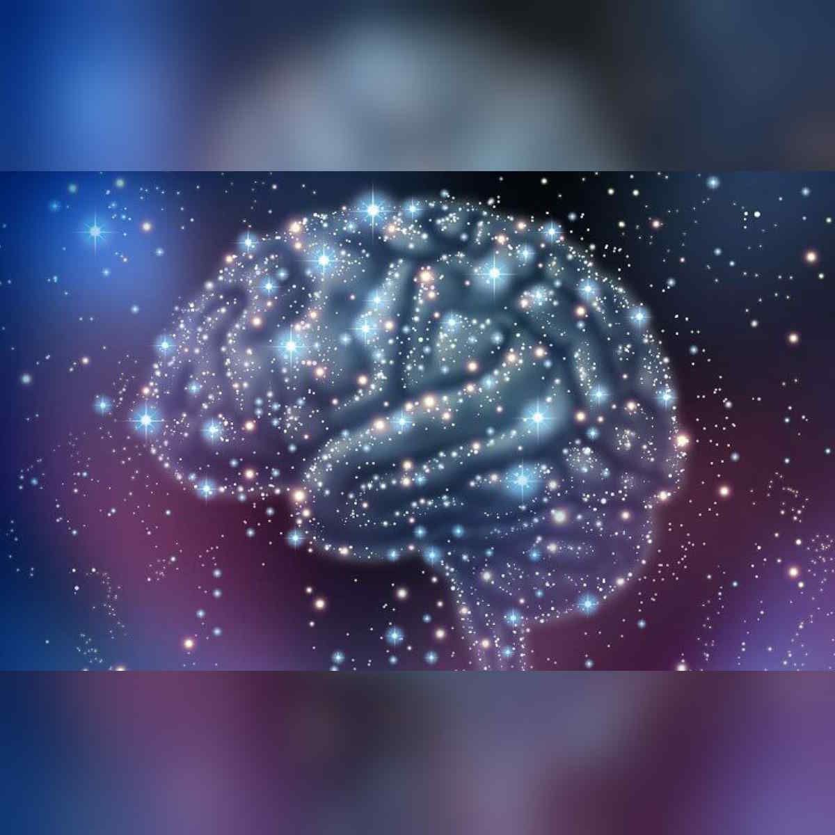 Sapiens - El cielo que olvida sus estrellas. Con Saúl Martínez-Horta - 19/01/26